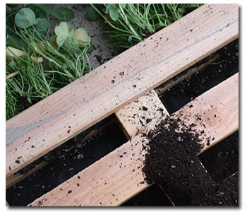 Caring and Placement of Your Pallet Garden