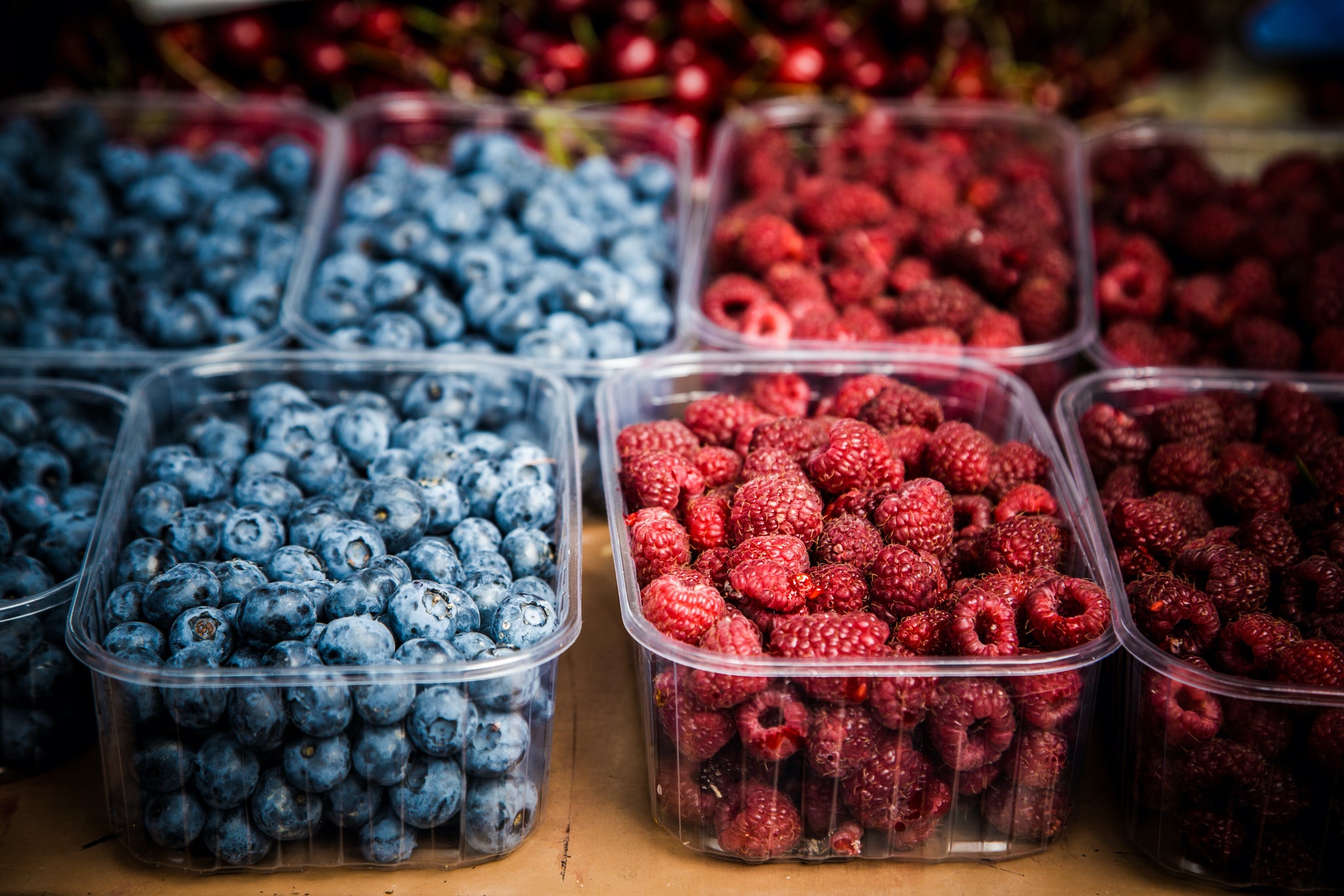 Harvesting Berries