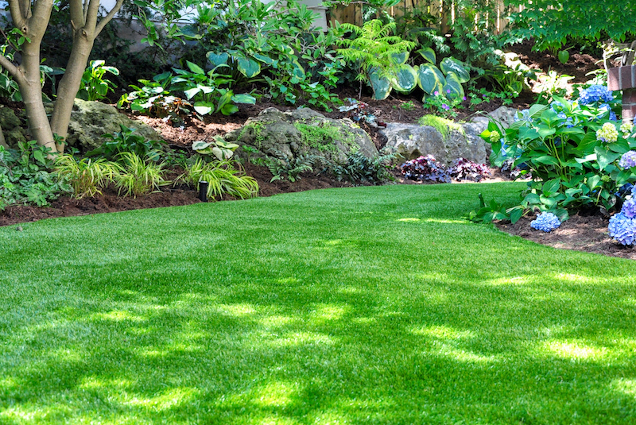 How to grow grass in San Diego