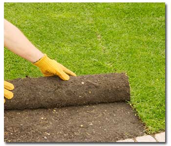 Prior to planting lawns from sod or seed