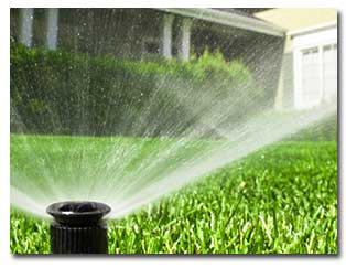 Check Your Sprinklers