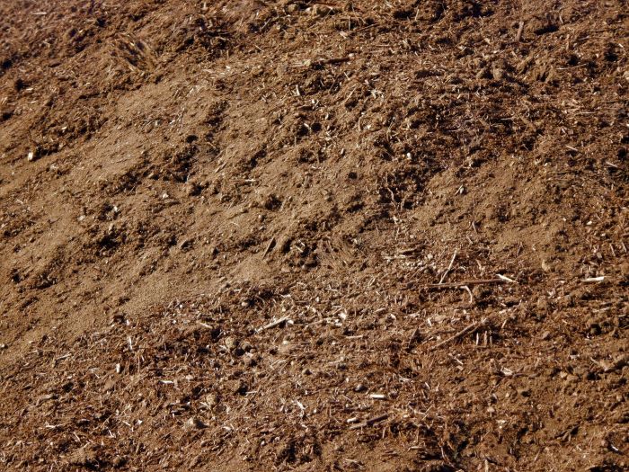 ameded topsoil