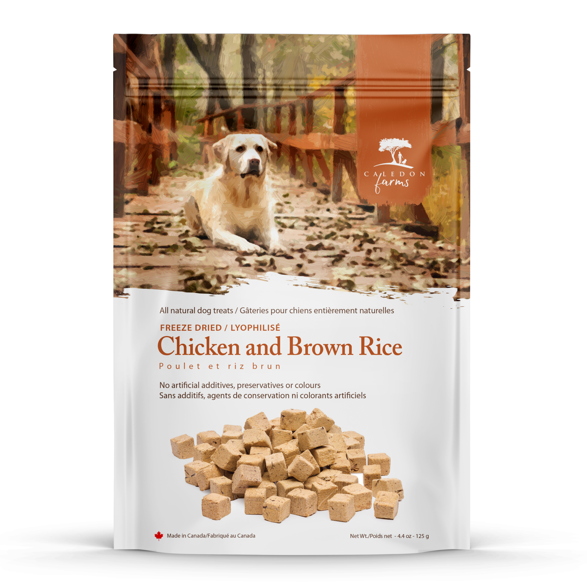 dog bland diet brown rice