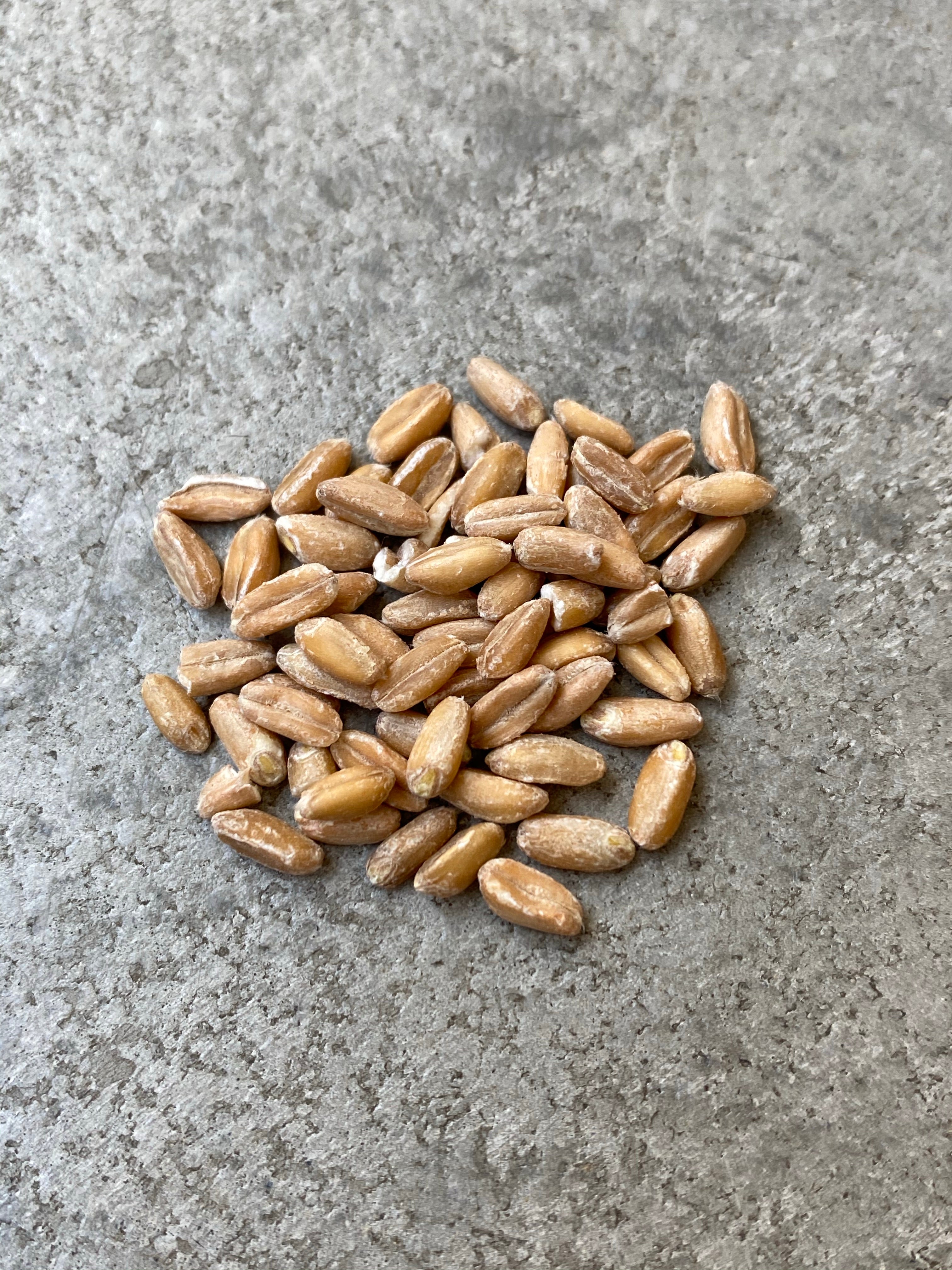 red mill farro