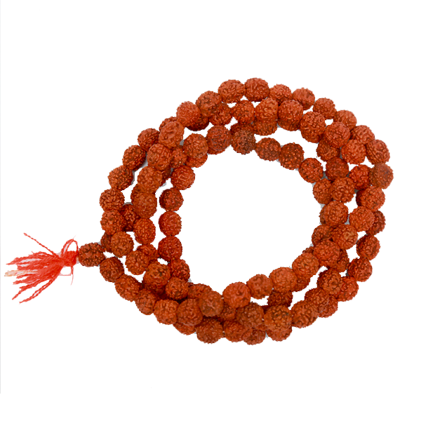  AANSSS 10mm Knotted Rudraksha 108+1 Beads Mala