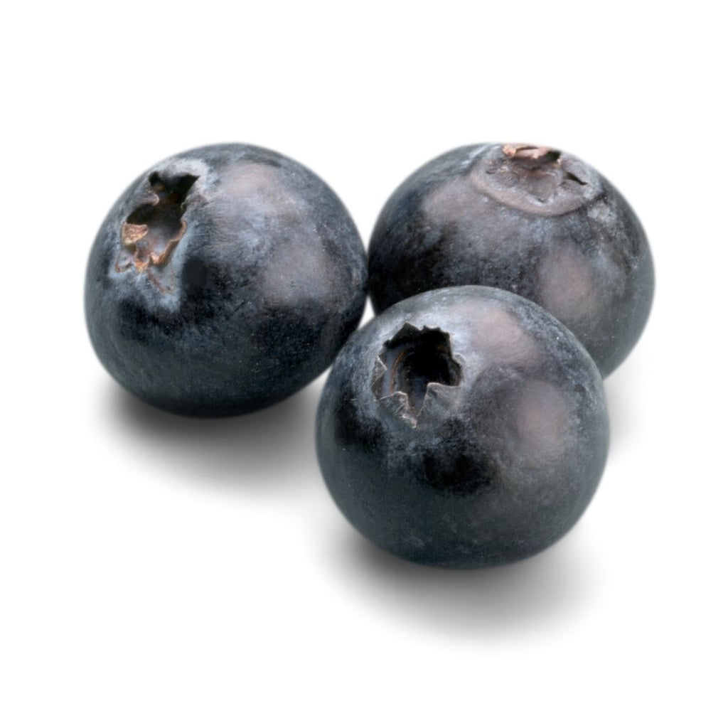 can blueberries cause black stool in dogs
