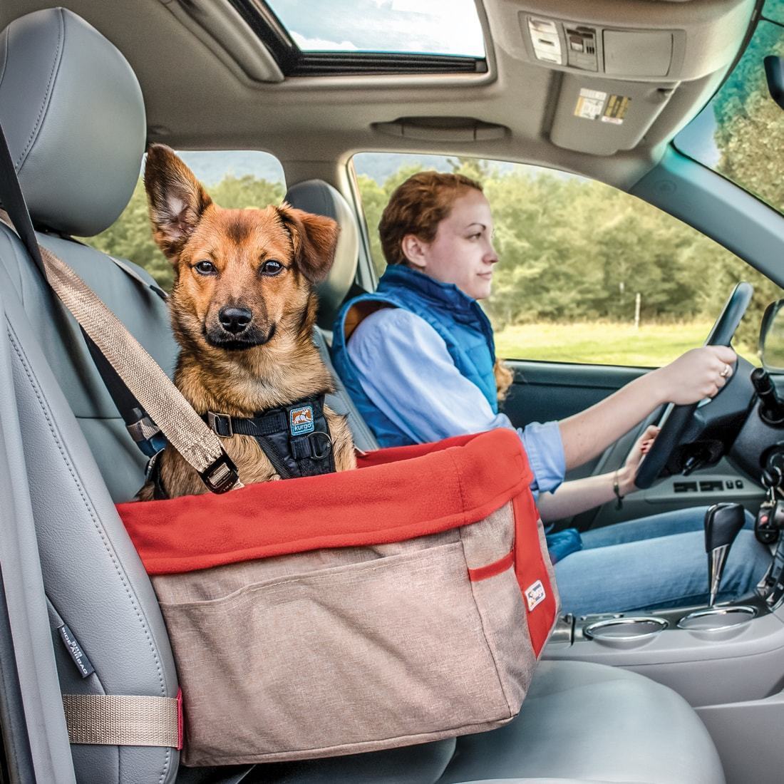 Petsfit Siège auto pour chien, siège rehausseur de voiture de