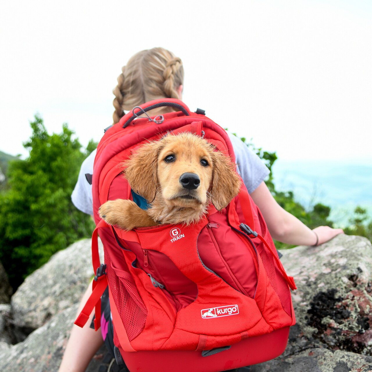 KURGO - Sac à dos Baxter pour chien - Letourno