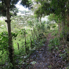 trail through peru mountains