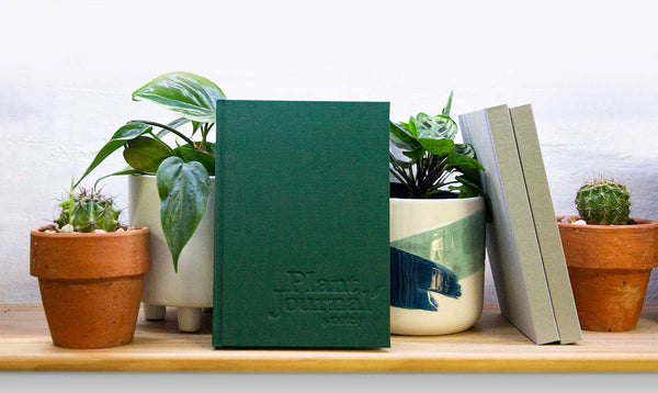 Notely Plant Journal on the shelves at the Plant Lounge Brisbane