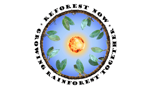 Reforest Now Logo