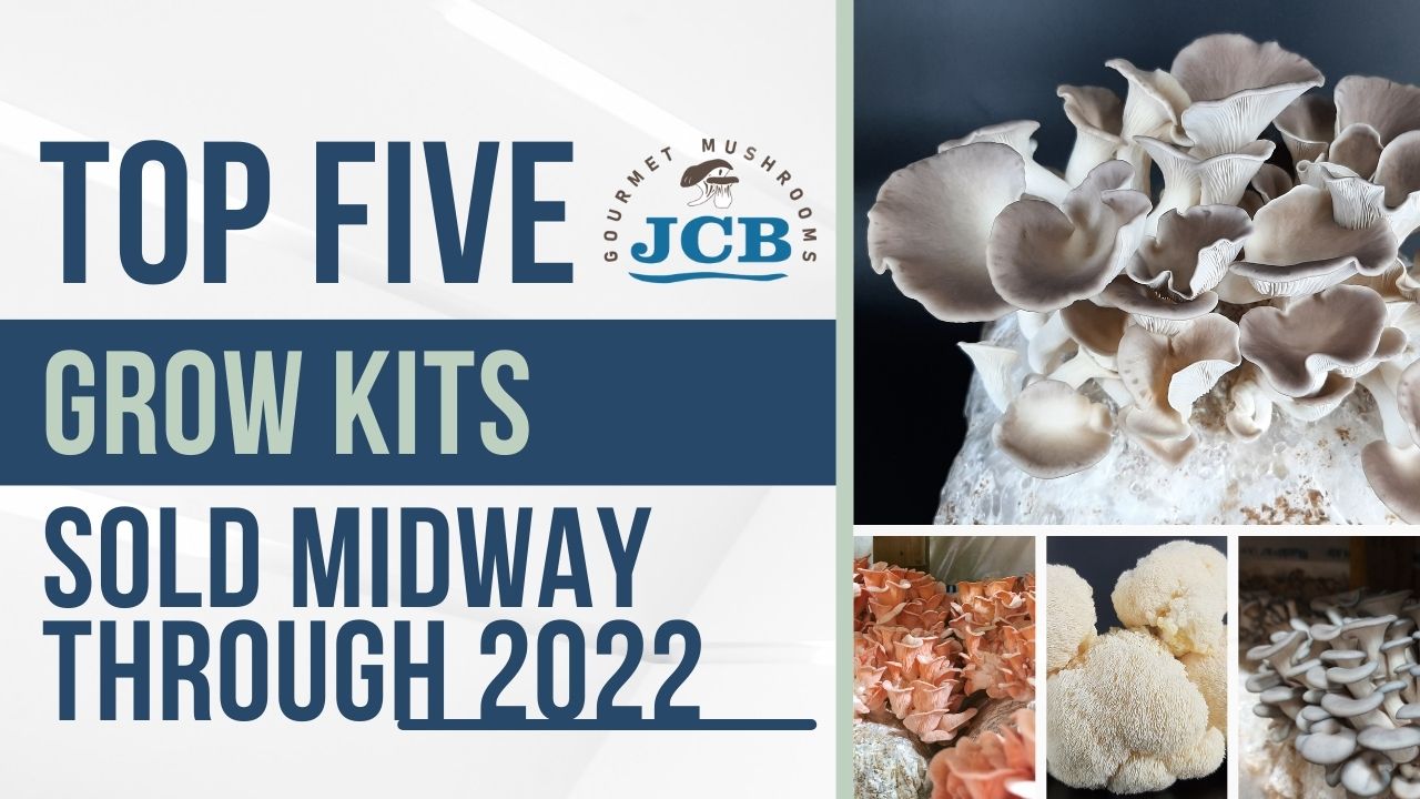 Top five JCB Gourmet Mushroom Grow Kits sold midway through 2022