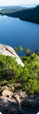 Acadia National Park, Maine - The Jordan Pond Path