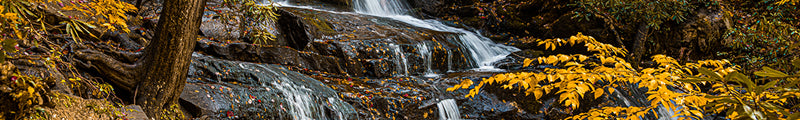 Great Smoky Mountains National Park, Tennessee/North Carolina: The Laurel Falls Trail.