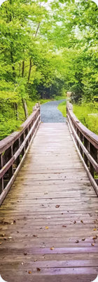 Shenandoah National Park, Virginia - The Limberlost Trail