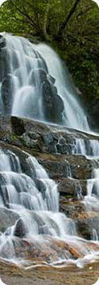 Great Smoky Mountains National Park, Tennessee/North Carolina - The Laurel Falls Trail