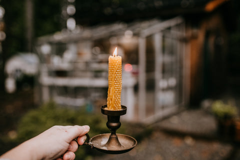 gardening tips candlelight herb greenhouse apothecary