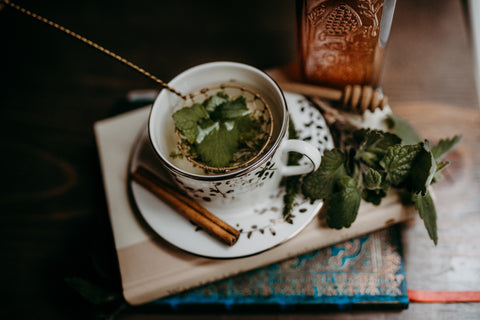 catnip tea winter medicinal herbs