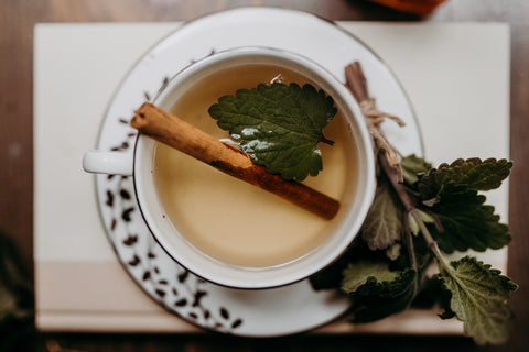 catnip tea winter medicinal herbs