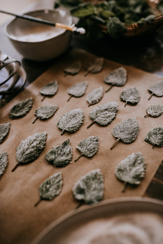 candied lemon balm diy cedar house living