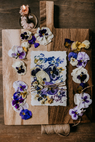 flower art crafting botanical pansies violas pressing dried floral