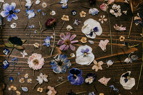 pressed flowers