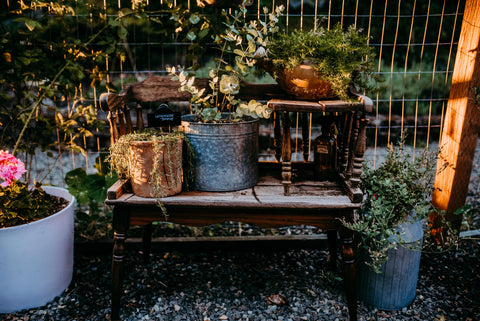 vintage table repurposed to hold plants in backyard garden diy