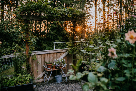 garden backyard space