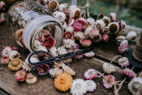 strawflower dried flower craft garland barebones snips scissors