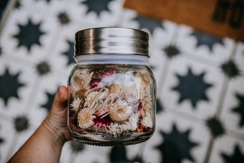 dried flower strawflower heads