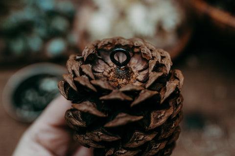 pine cone craft with eyelet screw