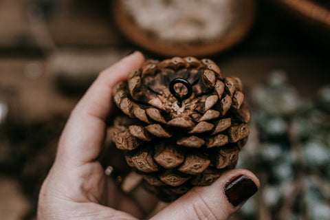 pine cone craft with eyelet screw