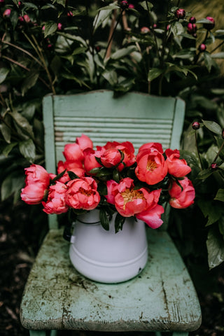 bucket full of pink peony