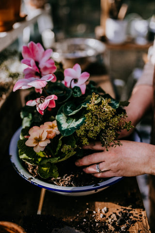 planting with cedar house living jess buttermore