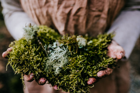 meaning of moss fresh foraged green maternal love