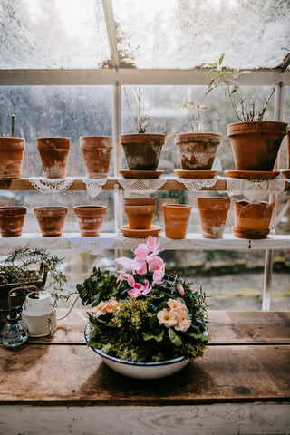 mother's day planter in greenhouse cedar house living