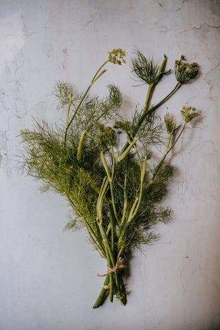 fennel as foliage filler in flower arrangements bouquet