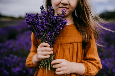 preserving and harvesting lavender children in lavender