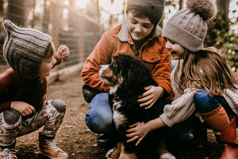 children with bernese mountain dog puppy