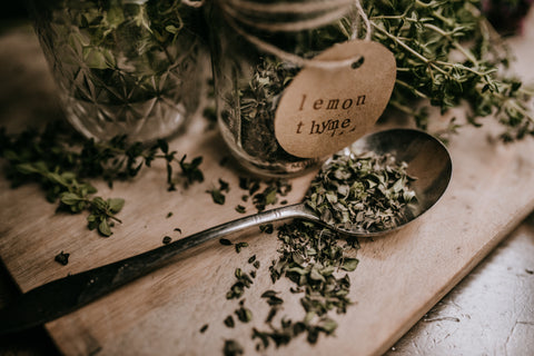 herbalism, herbalist, herb drying, preserving herbs, herbs, harvesting herbs