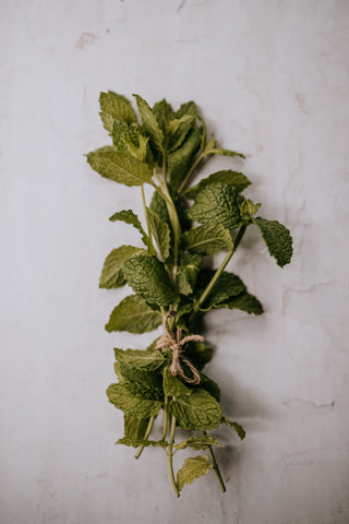 bunch of spearmint mint peppermint cedar house living