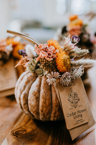 dried botanical pumpkin crafts gift mini autumn seasonal