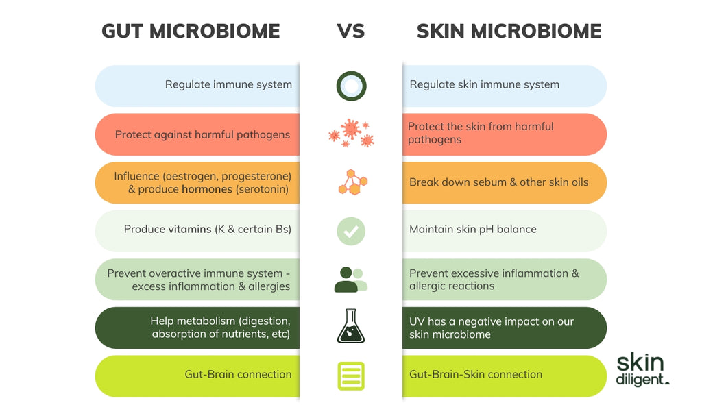 Gut microbiome vs skin microbiome