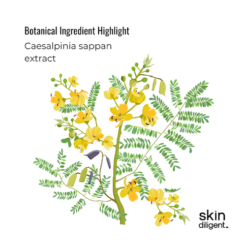 acne skincare ingredient Caesalpinia sappan