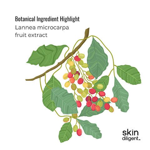 acne skincare ingredient Caesalpinia sappan