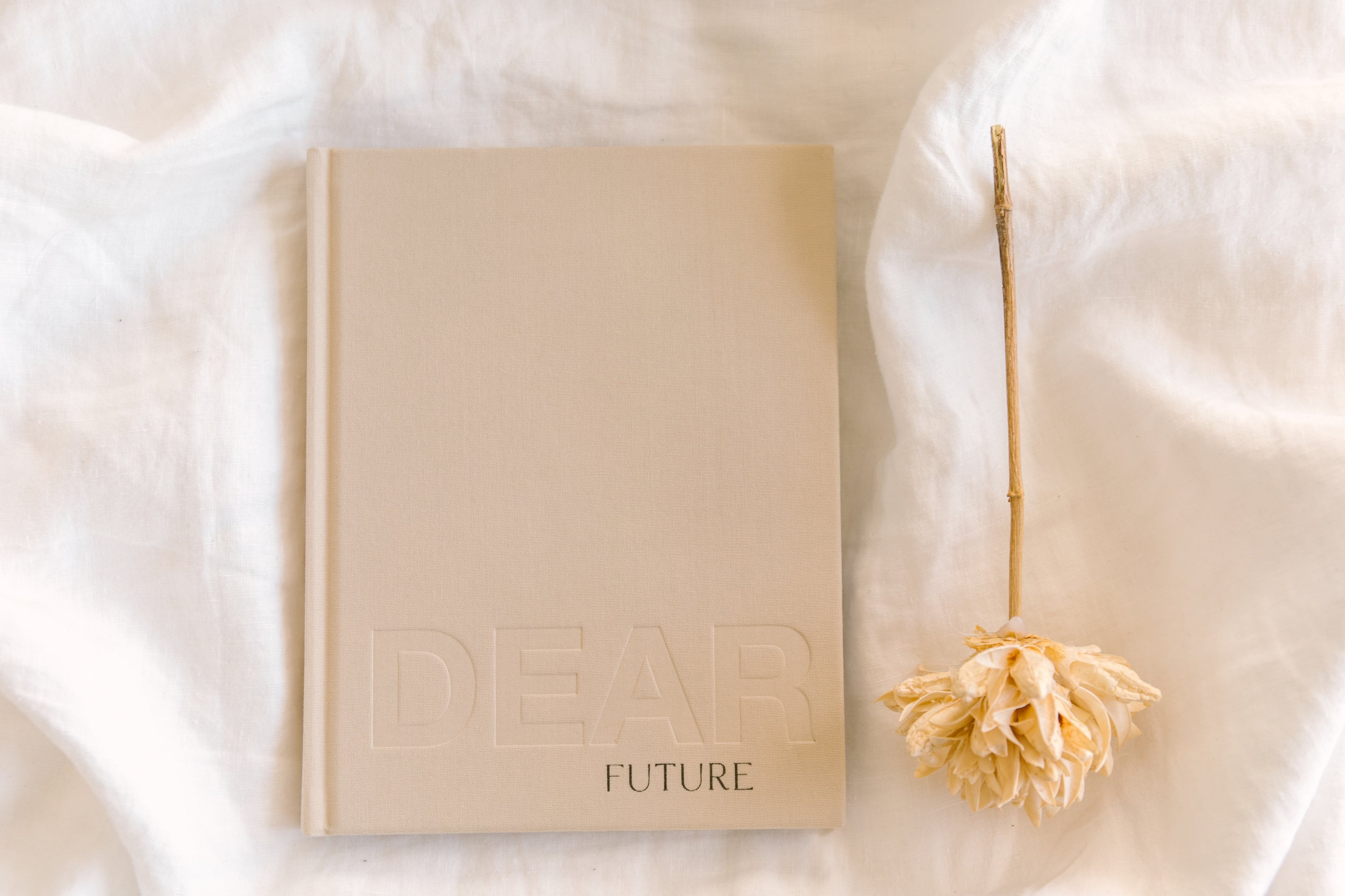 dear journal