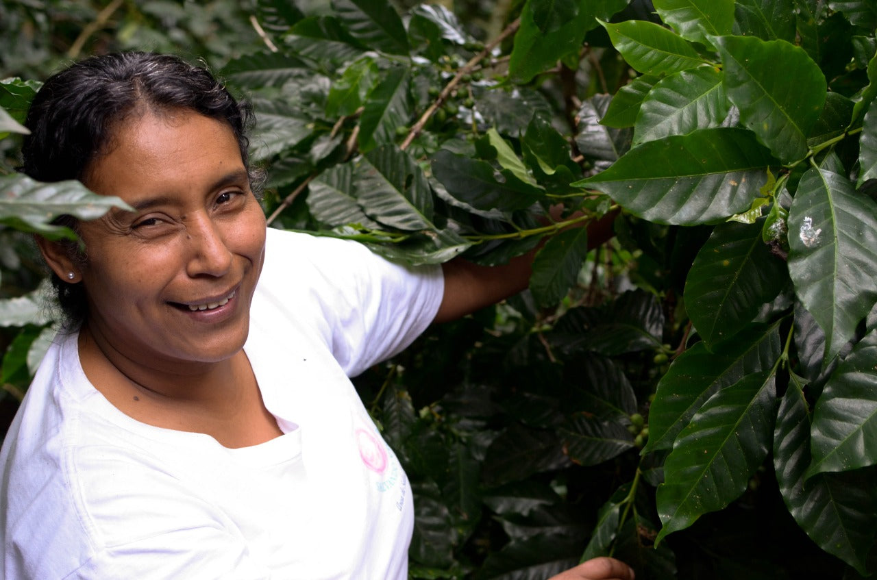 Chica holding coffee plant