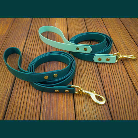 two leashes on a deck. one is solid forest green and one is forest green with light sage green accents on the handle and clip end. both leashes have brass hardware.