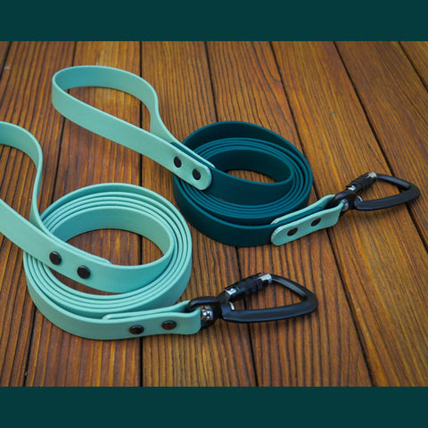 two leashes on a deck. One is light sage green and the other is forest green with a sage handle and accent piece near the leash clip. Both leashes have black carabiner hardware.