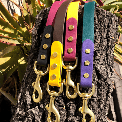 Colorful, waterproof dog leashes in various fall colors - brown, black, purple, orange, yellow, and plum. 